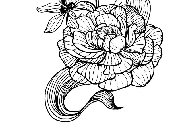 初学画画如何入门，画画入门初学技巧（好看的入门简笔画）