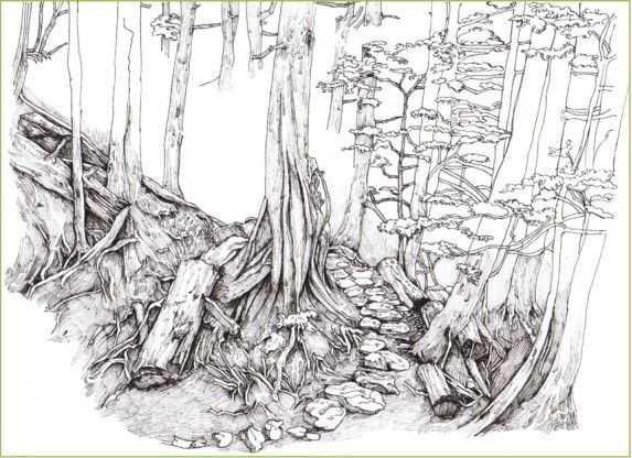 马克笔绘画教程风景画，马克笔绘画教程入门（适合初学者学习的彩铅风景画步骤教程）