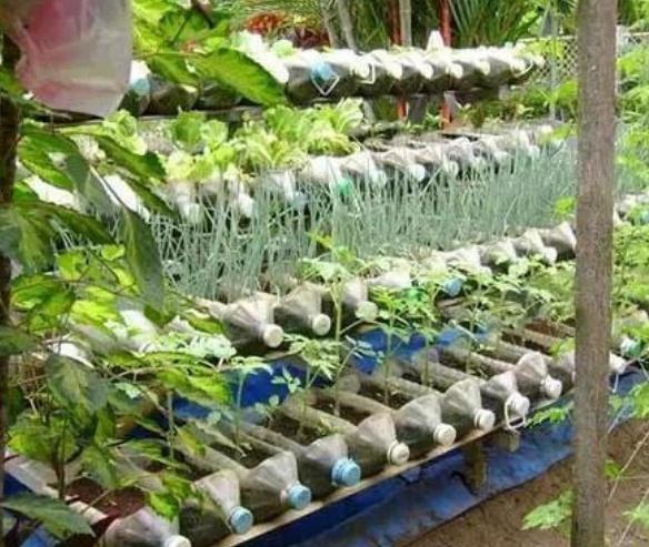 自制超大的种菜盆，阳台种菜盆简单自制（剪剪变成“种菜盆”）