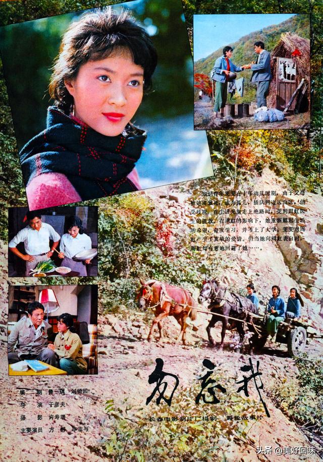 东陵大盗剧情，乡情、勿忘我、当代人、R4之谜、夕照街