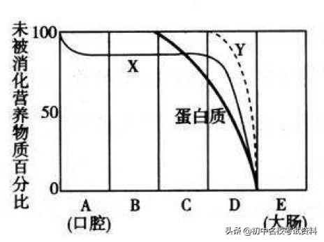 血型配对表图口诀，血型遗传规律表顺口溜（冲刺2020年中考-初中生物记忆口诀+知识点大全）