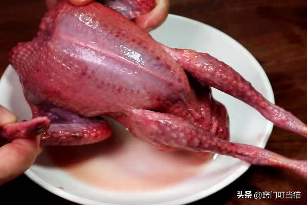 鸽子头能吃吗，鸽子汤为什么不能放姜（鸽子身上5个部位含有毒素）