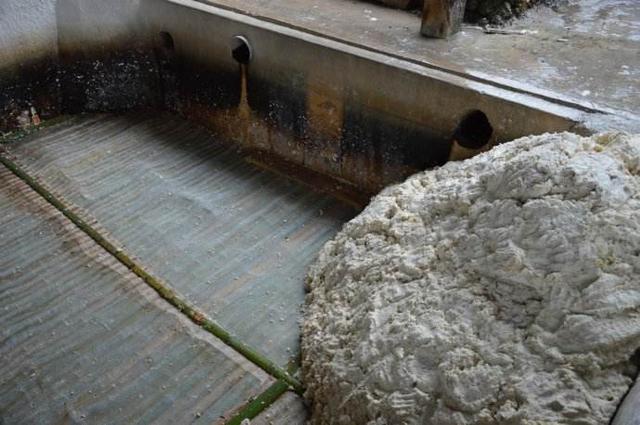 宣纸得名于它的什么，宣纸得名于它的产地还是什么（宣纸是什么样子的）