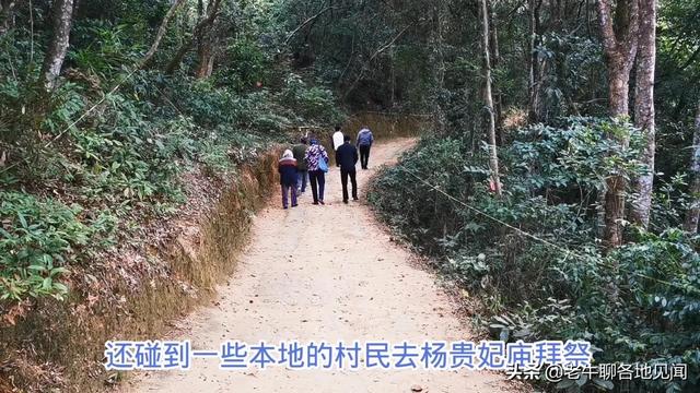 杨贵妃是哪里人，杨贵妃是哪里人,今为哪个省（山西陕西四川河南表示不服）