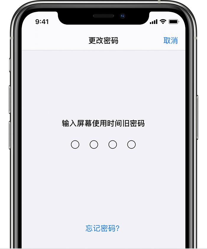 苹果手机屏幕使用时间密码是多少（苹果平板屏幕使用时间的密码解除）