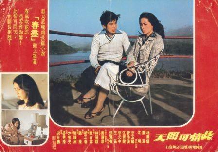 彩云在飞跃，彩云在飞跃电影简介（29岁急流勇退做“龙嫂”）