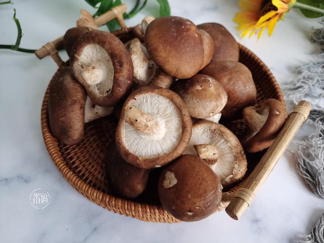 香菇怎么洗才干净，新鲜香菇怎么洗才干净（脏东西小虫子乖乖溜走）