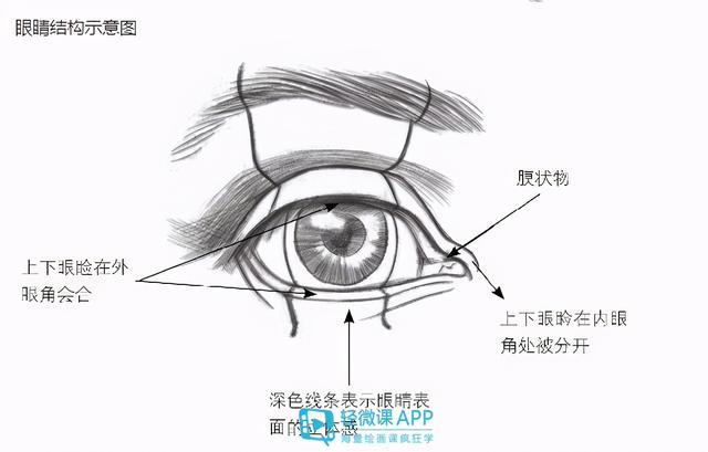 二次元眼睛的画法，二次元眼睛的画法简单易学（二次元眼睛画法详细教程）