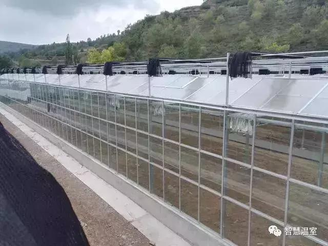 遮阳网6针12针有什么区别，遮阳网四针六针区别（温室大棚遮阳网的那些事儿）