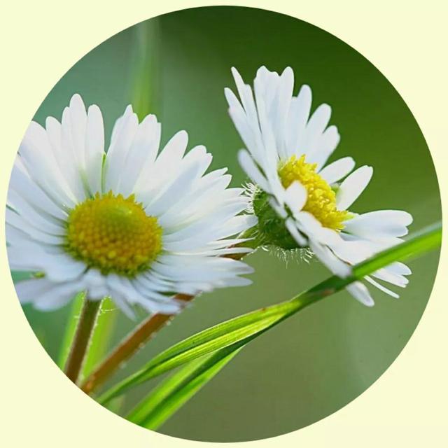 风景照片图片大全，微信头像，风景照片图片大全（令人心旷神怡的美景）