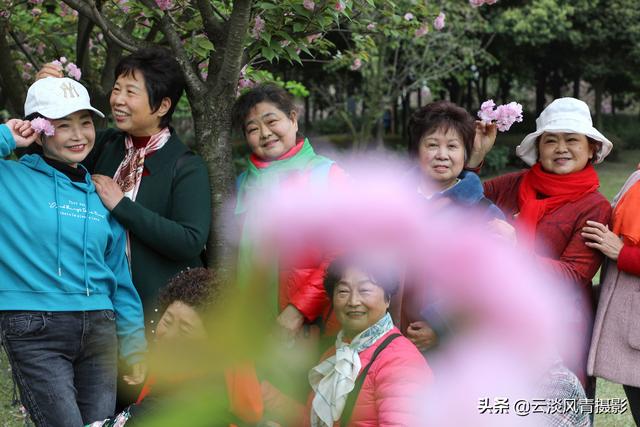 最简单能令人放松心情的图片 偶尔防空一下自己，让人心情放松的图片（醉倒在那片春色里）
