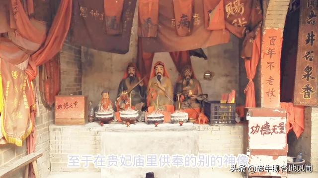 杨贵妃是哪里人，杨贵妃是哪里人,今为哪个省（山西陕西四川河南表示不服）