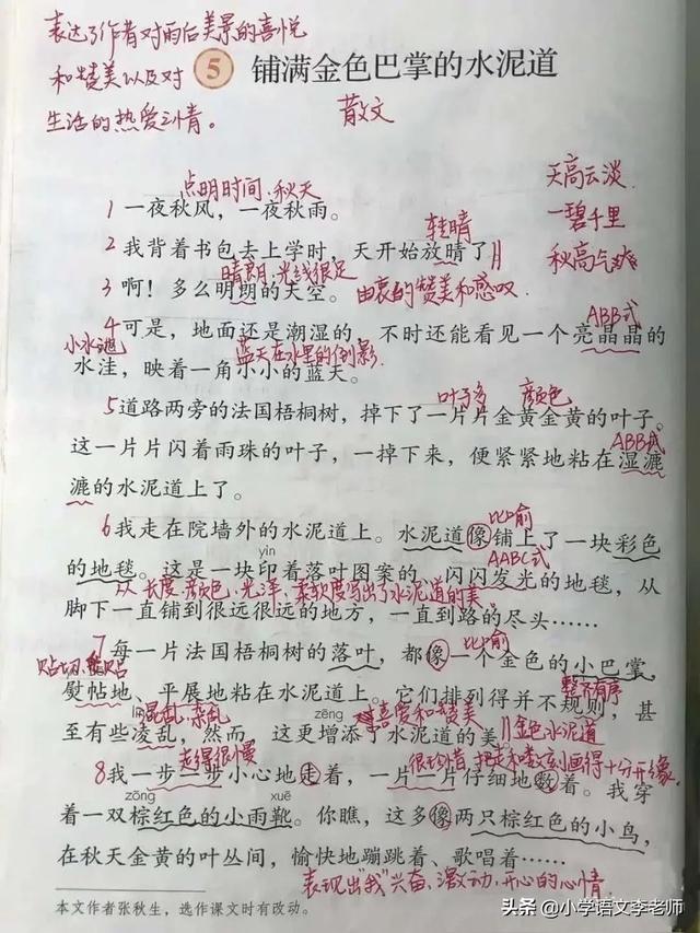 明朗的意思是什么，明朗是什么意思（三年级语文上册《铺满金色巴掌的水泥道》详解）