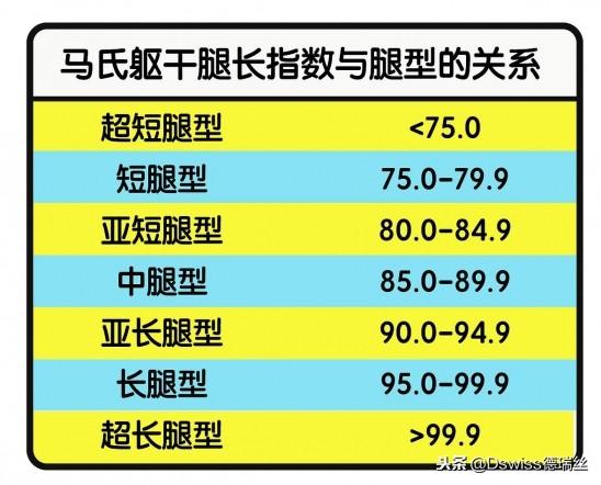 腿长怎么量，腿长怎么量从哪到哪黄金比例（什么样的腿算长）