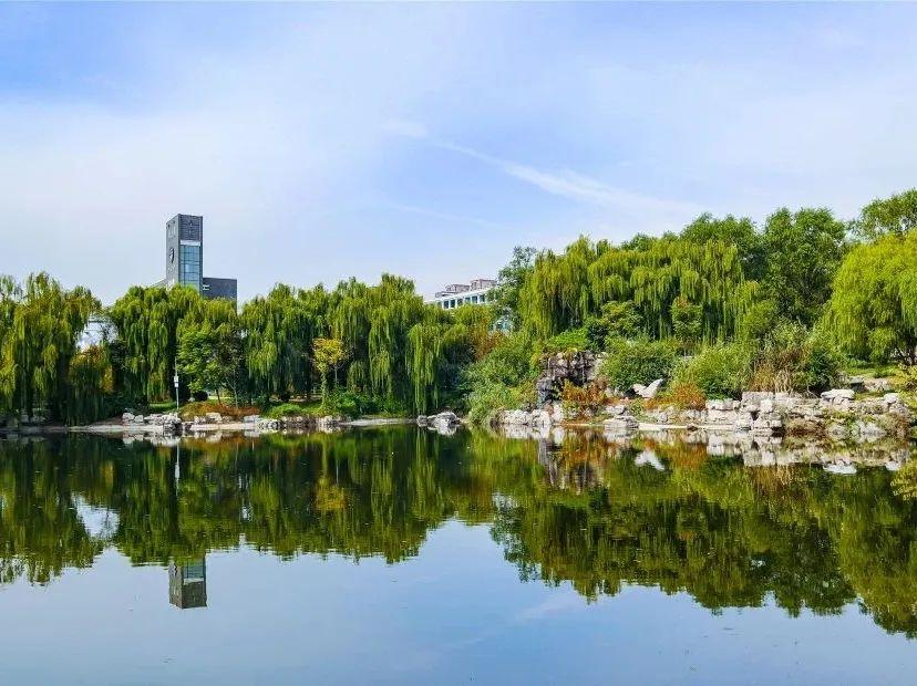 国际商务学校（山东青年政治学院国际商务）