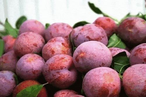 福州三宝分别是什么，福州三宝是哪些（福州最著名的特产是什么）