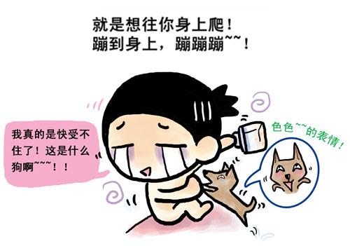 thx是什么意思网络用语，thx什么意思（yyds到底是什么）