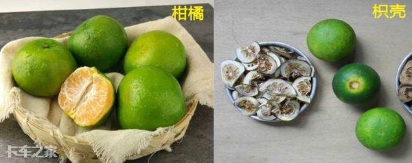 菠萝蜜和榴莲的区别，榴莲和菠萝蜜的区别（这5种农产品常被误认为是绿通）