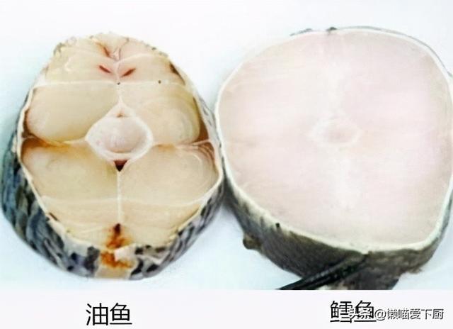 鳕鱼是不是深海鱼类，这种鱼常被冒充“鳕鱼”