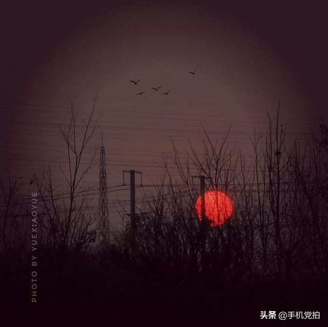 轻烟老树寒鸦什么意思，轻烟老树寒鸦前面一句是什么（不妨跟着“古诗”拍拍看）