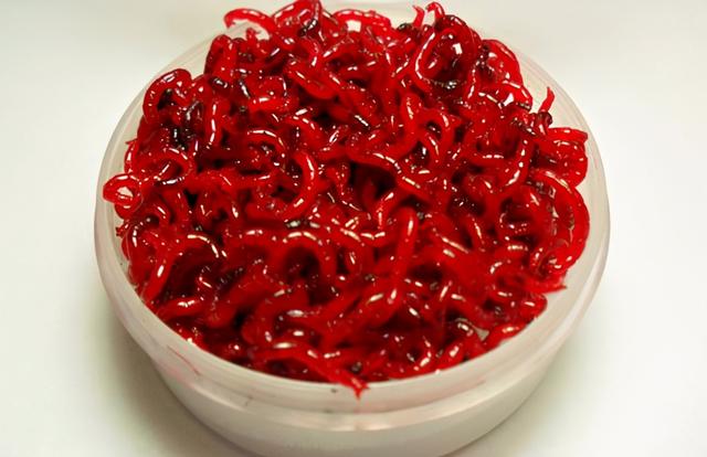 黑坑十大禁用饵料，黑坑用什么饵料（并非因为水质，阻你上岸才是真）