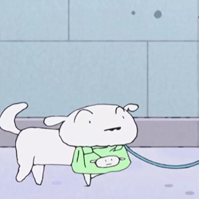 蜡笔小新微信头像，蜡笔小新头像（蜡笔小新系列丨头像+壁纸）