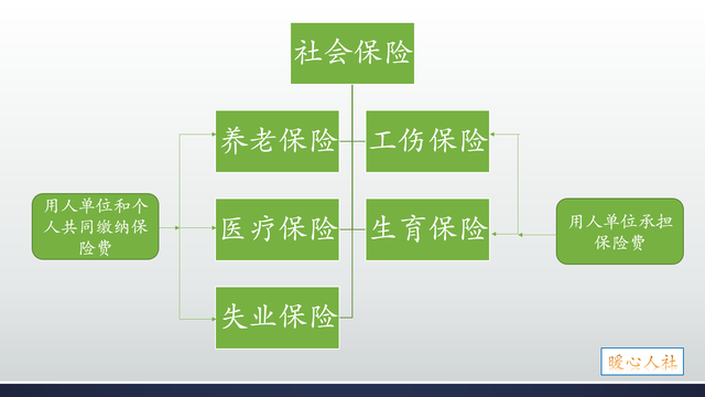 社保法86条，社保缴费基数和工资不一致怎么办