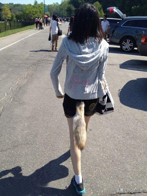 疯狂猜图狐狸尾巴，疯狂猜成语关于狐狸的答案（狐狸精的狐狸尾巴露出了把）