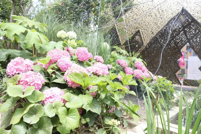 有创意的园林名字，有创意的园林名字大全（究竟蕴含着哪些景观设计）