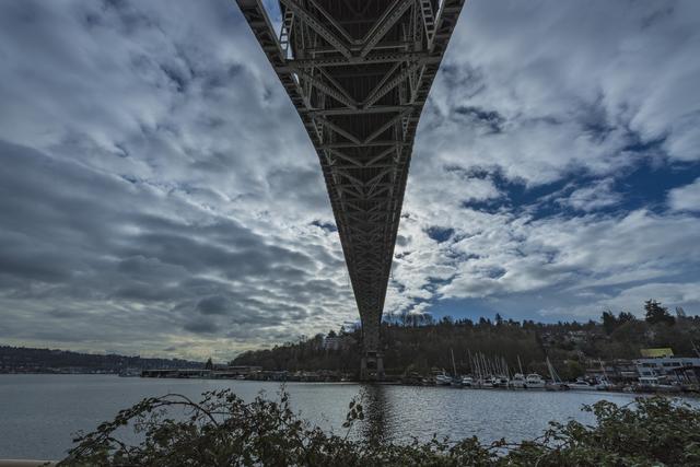 有一种奇葩的节日叫日本的裸体节，日本的这个节究...，西雅图每年都举办全裸游行