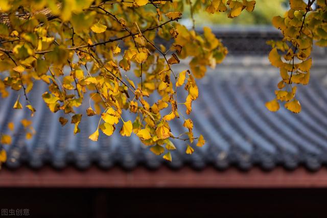 普陀山求财去哪最灵，浙江普陀山（浙江一300米小山）