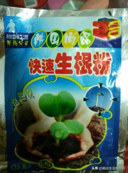 求生根粉使用方法，生根粉正确使用方法（生根粉要怎么用才能效果好呢）