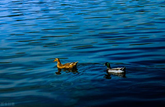 怎样做一个遵纪守法的公民，日常生活中怎样做一个遵纪守法的公民（做一个学法、懂法、守法、用法的好公民）