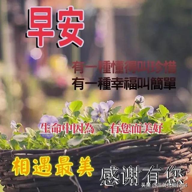 早安最美一句话，早安最美一句话有哪些（清晨最美早安问候祝福语温馨短句）