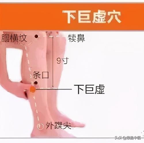 归来穴位置最简单的取穴方法，足阳明胃经45个针灸穴位图