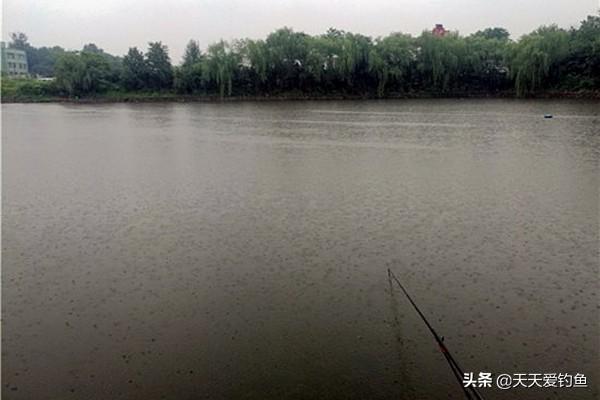 夏天下雨好钓鱼吗，初夏下雨天钓鱼好不好钓（夏季钓鱼最佳时机）