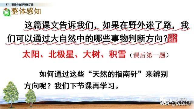 野外辨别方向的方法有哪些，野外辨认方向的6种方法（二年级下册语文17《要是你在野外迷了路》图文详解及同步练习）