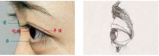 素描眼睛的画法，素描眼睛的基本画法步骤（素描必看，眼睛画法，细节讲解）