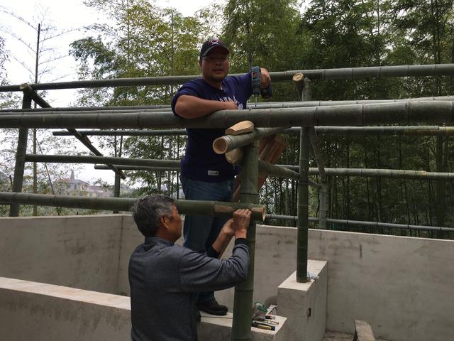 荒山野岭农场现状，兄弟俩买下300亩山头给孩子造农场