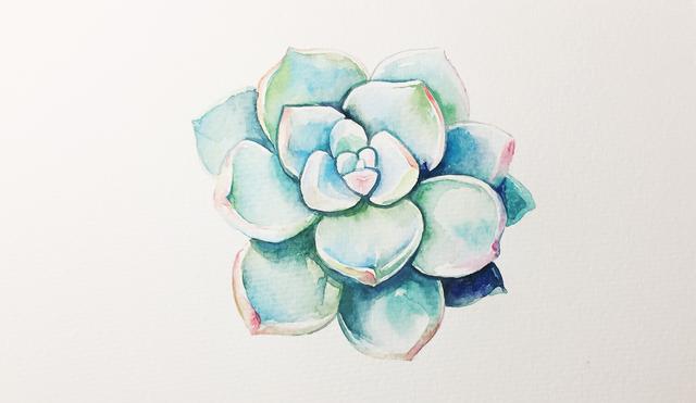 如何画简单的多肉植物，多肉怎样画简单（水彩教你怎么画可爱的多肉）