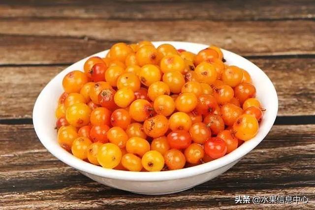 醋柳果的功效与作用，醋柳果的功效与作用及禁忌（国内有哪些小众特色水果）