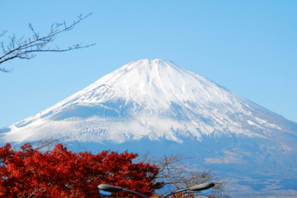 富士山是私人的吗？日本最牛的房东，富士山是人家的