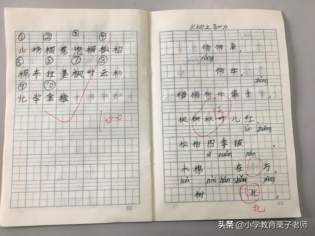 描写树木的四字词语，二年级语文识字二《树之歌》