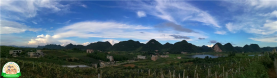 什么是水晶葡萄，什么是水晶葡萄酒（清镇水晶葡萄火热上市）