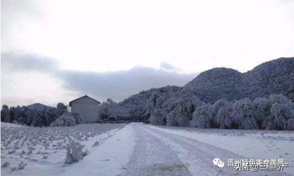 真正的龙眉图片，哪种眉毛是富贵眉毛（贵州旅游攻略之地球上的彩带——花的海洋百里杜鹃）