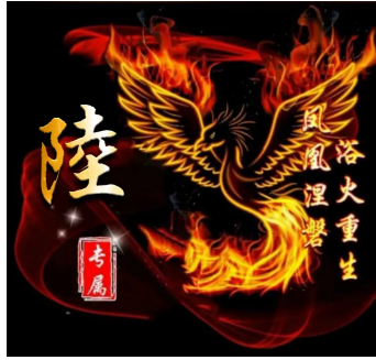 女凤凰，微信头像，女凤凰（浴火重生的微信姓氏头像送给你）