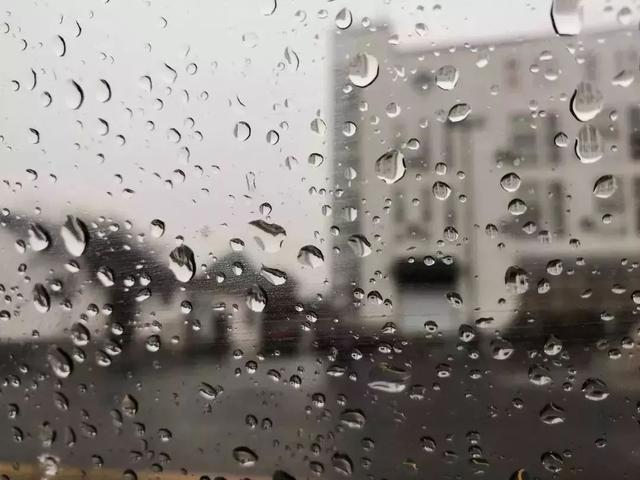 东北人不敢惹徐州人，徐州人社app（被误解的徐州人，是你吗）