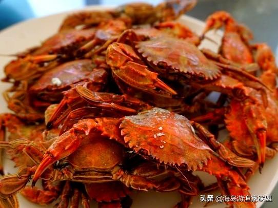 哈仙岛在哪里，哈仙岛附近还有什么岛（这一篇攻略就够了）