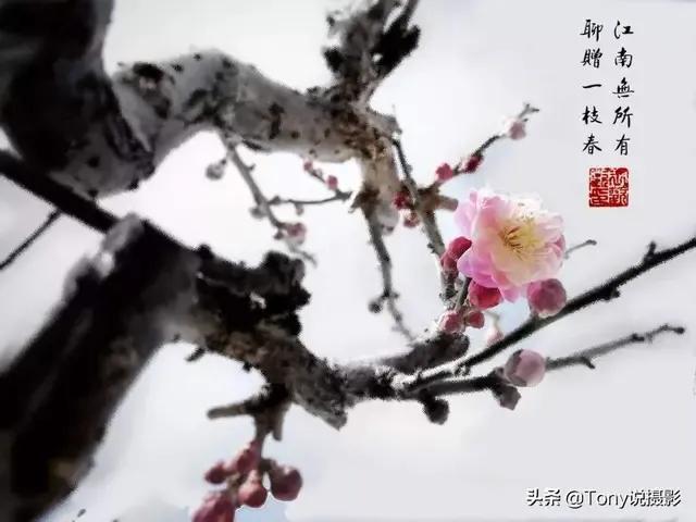 大江东去浪淘尽千古英雄，大江东去浪淘尽全诗作者是谁（每日一诗《念奴娇·赤壁怀古》赏析）