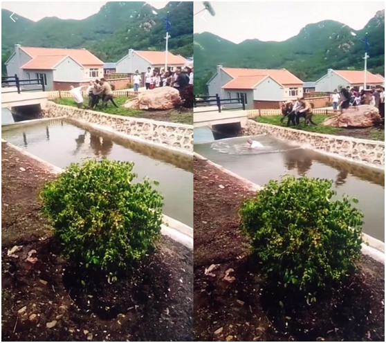 山杏扮演者是谁，第一部《乡村爱情》赵四扮演者叫什么名（闫学晶拍戏和对手互扇）